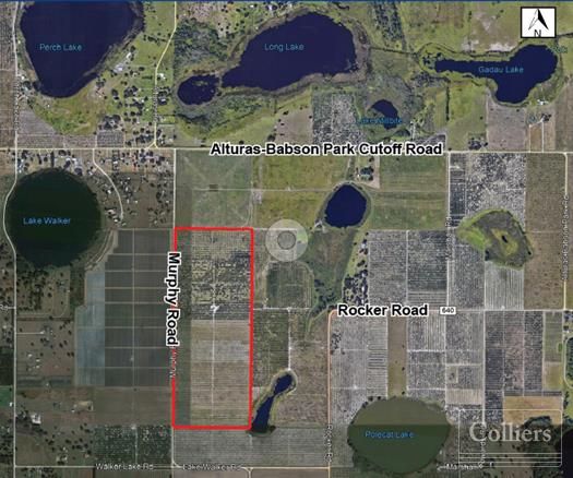Murphy Road, Bartow, FL 33830